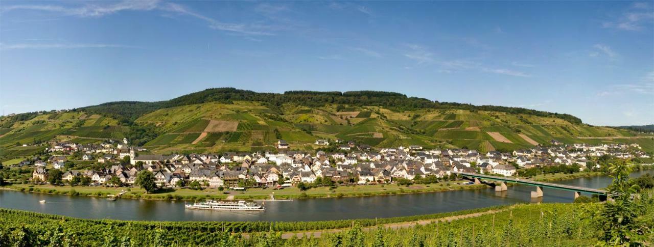 Ferienwohnung "Schoene Aussicht" Reil Luaran gambar