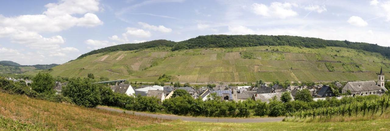 Ferienwohnung "Schoene Aussicht" Reil Luaran gambar